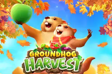 Groundhog Harves